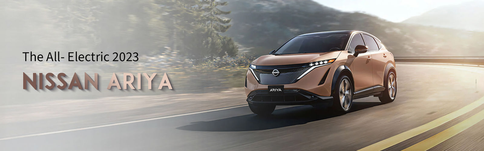 qualità Auto elettrica Dongfeng fabbrica